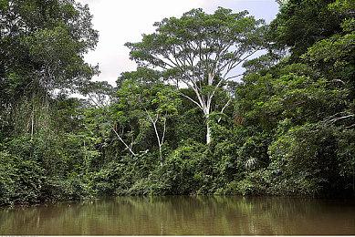 加入xpg？反作弊更新？ 动视突然对十款《使命召唤》系列游戏进行维护